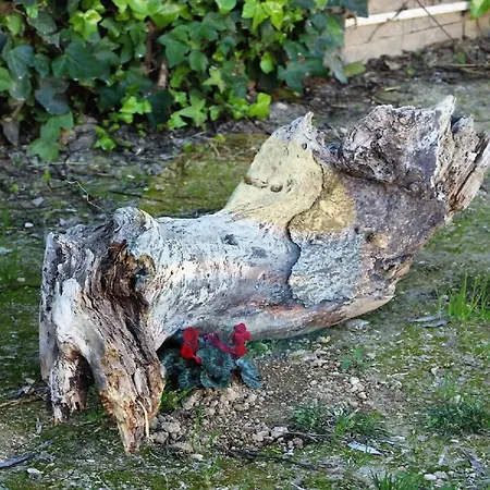 Barraca Tipica Del Delta, Con Piscina, Jardin Y Barbacoa - Deltavacaciones *